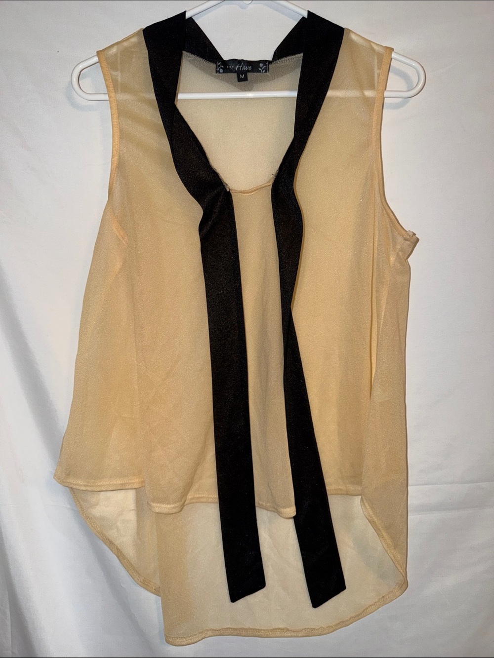 Have Cream Sheer Sleeveless Top with Black Tie